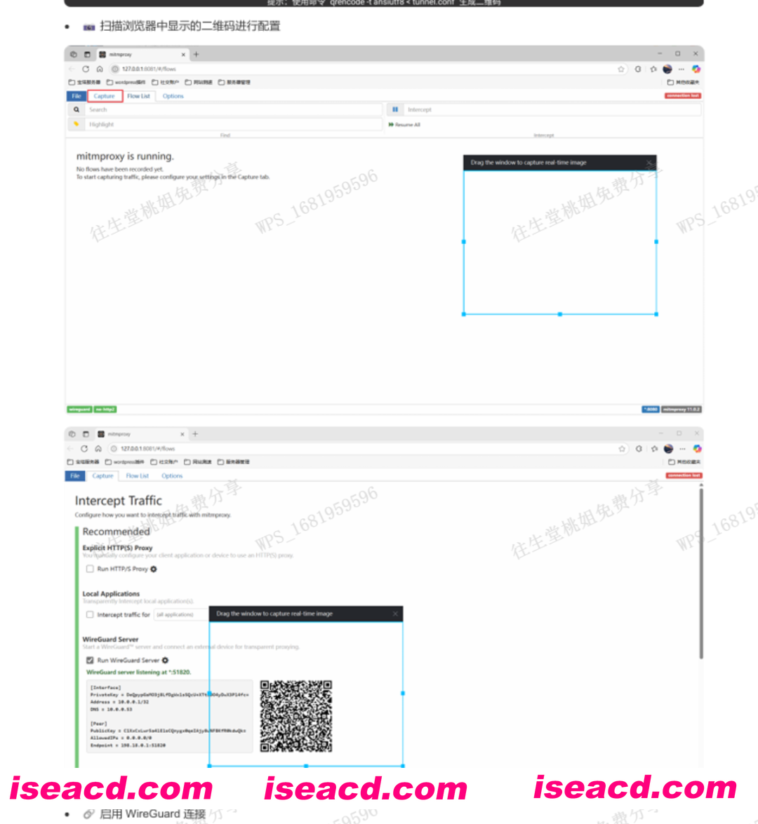 图片[12]-[二游破解/中文] 蔚蓝档案 Ver1.59 本地中文一键端 天机阁8月更新版 [带GM指令] [5G/更新]-嘤嘤怪之家