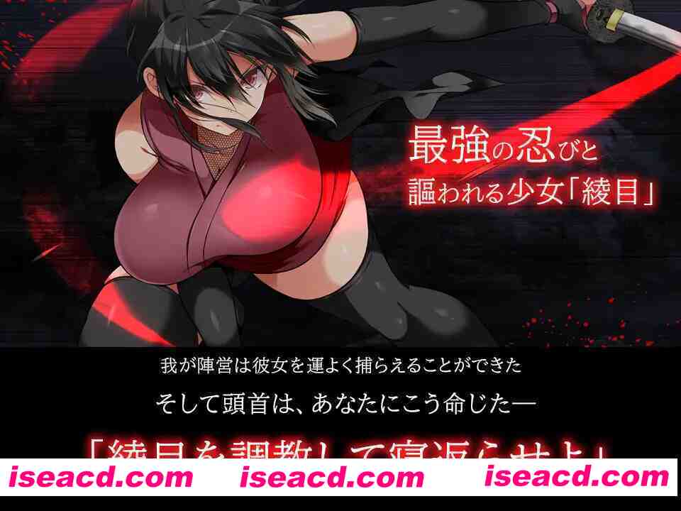 图片[1]-【大型SLG/官中/动态/PC】忍墮－女忍調教 女忍者堕落：忍堕とし Shinobi VB.13126066 STEAM官方中文版+DLC+攻略【11.3G】-嘤嘤怪之家