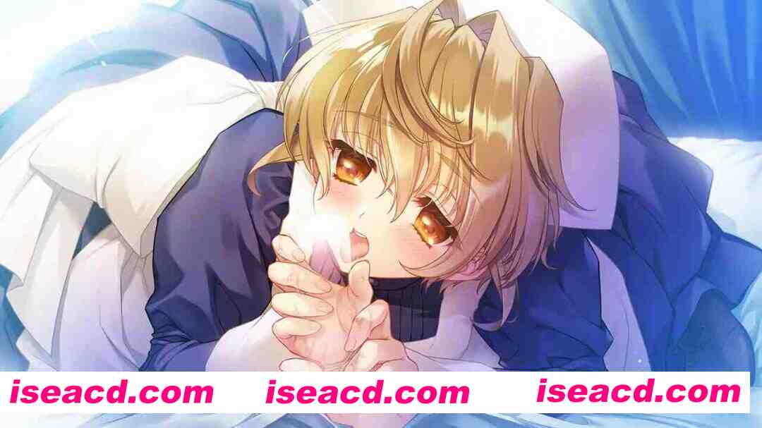 图片[8]-【启蒙大作ADV/汉化/精品/PC】无颜之月-待宵双椿 顔のない月-待宵の双椿- AI汉化内嵌版【2G/CV】-嘤嘤怪之家