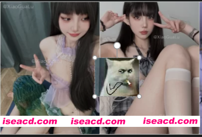 图片[1]-[视频/合集/步兵] 推特福利姬：小瓜陆 onlyfans赞助COS以及露出作品合集 [52V] [3.3G]-嘤嘤怪之家