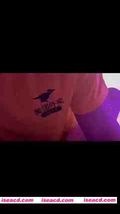 图片[1]-[视频/步兵/合集] 推特福利姬：李恩秀 门槛视频+私拍+卖逼VLOG+勾引外卖员系列合集 [22V] [400M]-嘤嘤怪之家