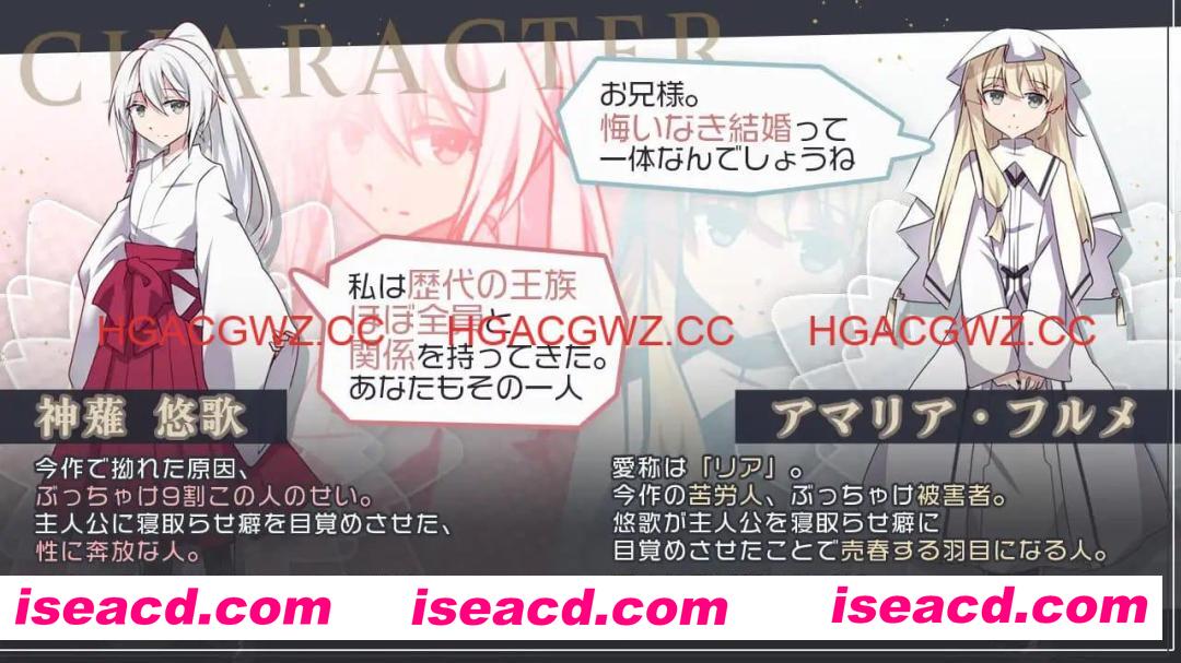 【RPG/AI汉化/MTool】双巫婚礼～两位新娘～v1.0【PC/1.6G】