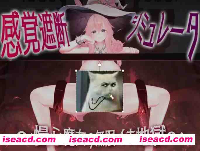 图片[1]-[互动SLG/全动态] 感官阻断模拟器-高傲魔女的无限快感地狱 dl版 [1.1G/新作/全CV]-嘤嘤怪之家