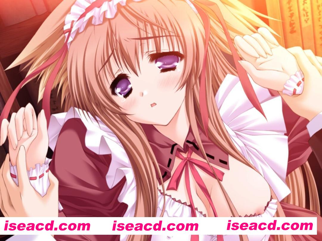 图片[11]-【日系ADV/官中/恋爱模拟/PC】游魂-It’s happy days- タユタマ -It’s happy days- 官方中文版【3.75G/CV】-嘤嘤怪之家