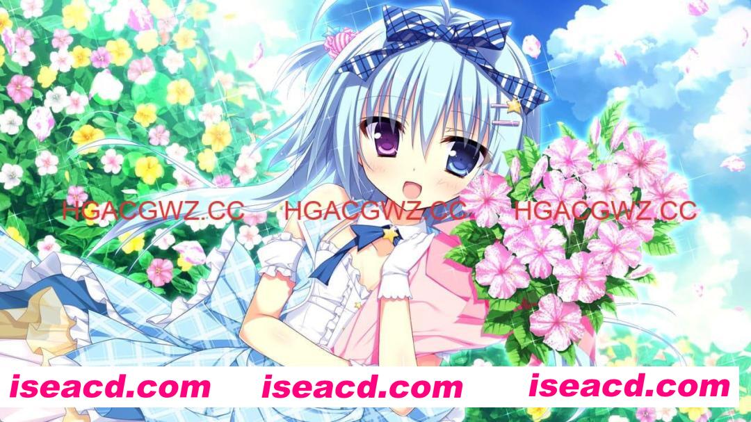 【ADV/精翻汉化/CV】夏色心跳日志【电脑/4.8G】