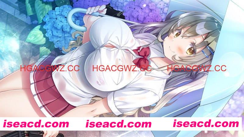 【ADV/AI汉化/CV】与你相恋的欢乐夏日 【电脑/3.3G/更新】