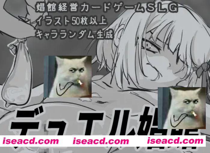 图片[1]-[模拟经营SLG/AI汉化] 决斗娼馆 デュエル娼館 V1.1.2 AI汉化版+存档 [900M/新作]-嘤嘤怪之家