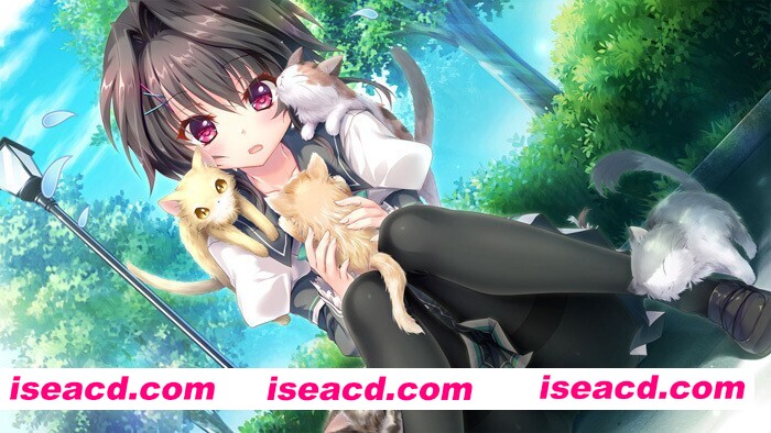 图片[16]-【拔作ADV/汉化/骨科/后宫/PC】9-nine：雪色雪花雪余痕 完整汉化版付全系列作品合集【12.9G/全CV】-嘤嘤怪之家