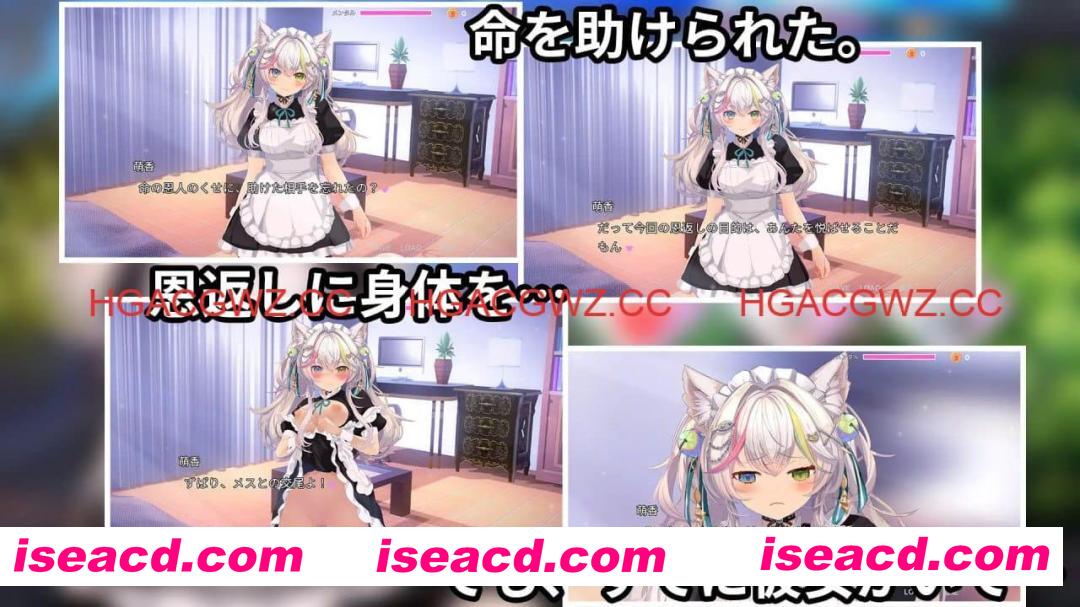 【SLG/中文/动态/CV】NTR猫猫～猫咪变成女僕后的激色报恩steam官方中文版【电脑/2.9G】