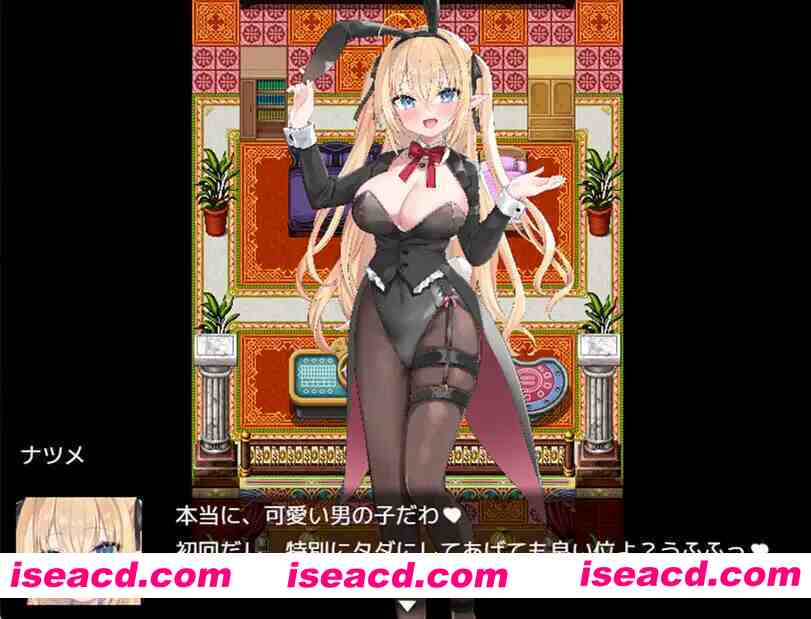 图片[2]-【日系RPG/汉化/兔女郎/大馒头/PC】Bunny Crisis ～兔女郎危机～ Bunny Crisis ～バニークライシス～ Mtool汉化版【3.18G】-嘤嘤怪之家