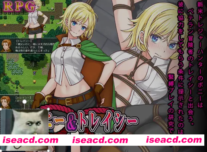 [日式RPG/AI汉化] 邦妮和克莱德 ボニー&トレイシー AI汉化版 [1.5G/新作]