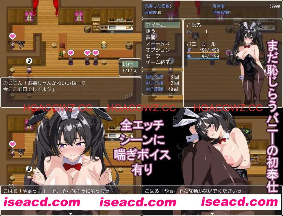 【RPG/AI汉化/MTool/CV】卖春兔的快乐堕落RPG：逐渐堕入淫欲的兔女郎v1.0.0【PC/1.6G】