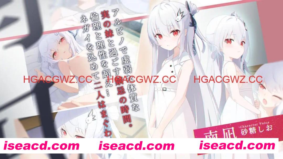 【ADV/精翻汉化/CV】只愿v1.0.1【电脑/1.5G】