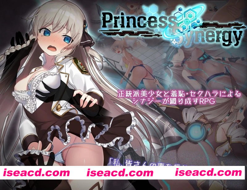 [神级RPG/汉化/更新/修复BUG] 公主协同效应 プリンセスシナジー Princess Synergy v1.02 AI汉化版[FM/百度/2.7G]