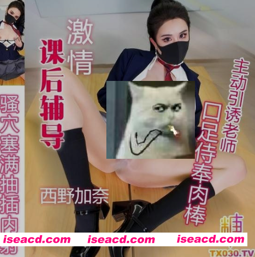 图片[1]-[视频/步兵/中文] 糖心vlog：西野加奈 激情课后辅导 [1V] [2.3G]-嘤嘤怪之家