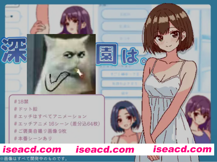 图片[1]-[日式经营SLG/中文] 深夜学园 深夜、学園は。v1.10 DL官方中文版 [500M/新作]-嘤嘤怪之家