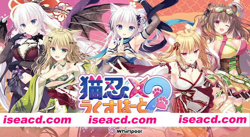 [PC-ADV] 新作[爆款ADV/兽耳/恋爱] 猫忍之心SPIN！2 猫忍えくすはーとSPIN！2 AI汉化版+全CG存档 [3.70G][BD]