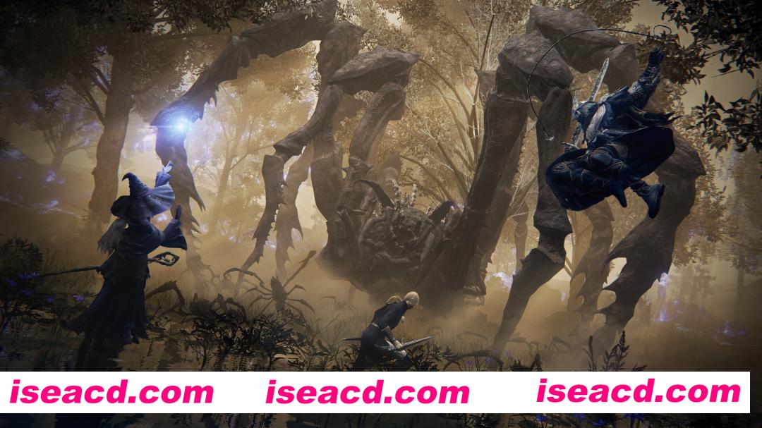 图片[6]-[大作ACT/中文/3D] 艾尔登法环 黑夜君临/ELDEN RING NIGHTREIGN/支持网络联机 v1.03.2联机版 官方中文 [26.9G/更新]-嘤嘤怪之家