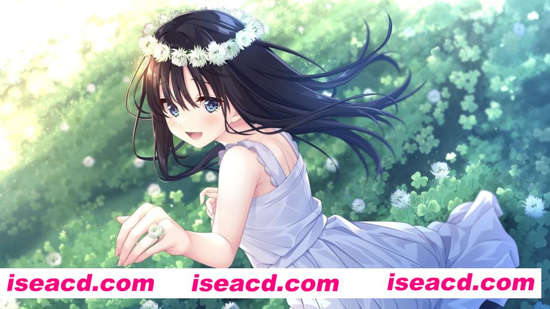 图片[12]-【日系RPG精品/官中/骨科/无码/PC】痴情哥哥与病弱妹妹的乡间生活 エッチで一途なド田舎兄さまと、古式ゆかしい病弱妹 官方中文版+DLC1+2+3+4【4.33G/CV】-嘤嘤怪之家