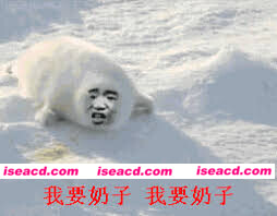 [日式ADV/AI汉化/拔作] 唯美主义四重奏 B2-STYLE ユニオリズム・カルテット B2-STYLE AI汉化版+全CG[4.4g/新作/全CV]