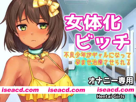 [SLG日文PC]女体化碧池～不良少年变成辣妹后被强制进行怀孕治疗～H场景视频游戏 女体化ビッチ～不良少年がギ   [FM/BD 100M]